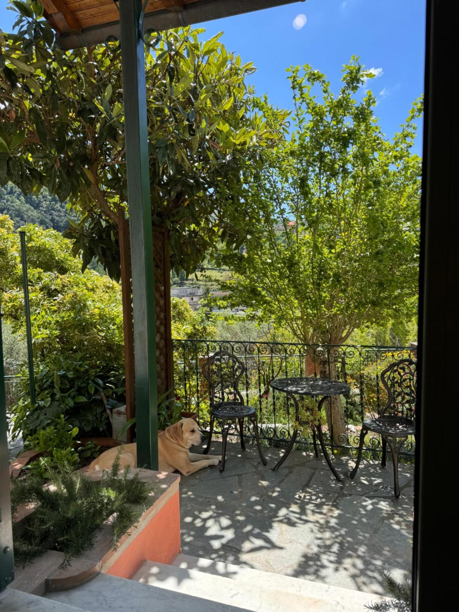 “Da Gio” In Un Antico Borgo Di Genova Appartement Buitenkant foto